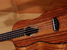 Ukulele Lessons at your home in Anjou