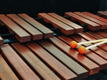 Xylophone Lessons at your home in N.D.G. (Montréal)