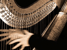 Harp Lessons at your home or at our Music School in Ville-Émard