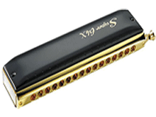 Harmonica Lessons at your home in Montréal Centre-Ouest