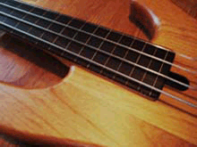 Bass Guitar Lessons at your home or at our Music School in Montréal Centre-Ouest