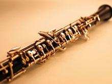 Oboe Lessons at your home in North East